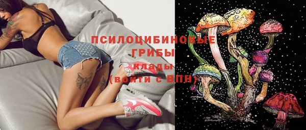 индика Верхнеуральск