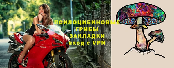 индика Верхнеуральск