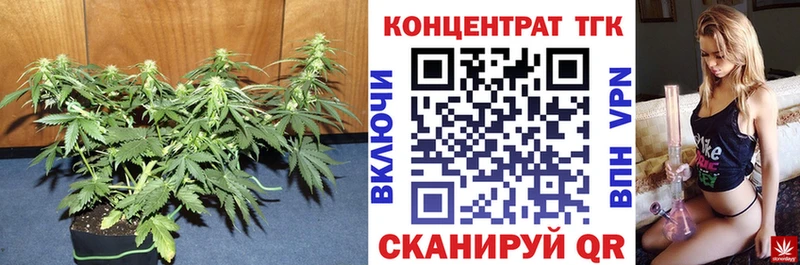 Дистиллят ТГК Wax  где можно купить   Сухиничи 