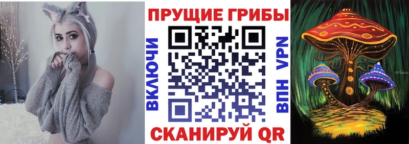 где купить   Сухиничи  Галлюциногенные грибы мухоморы 